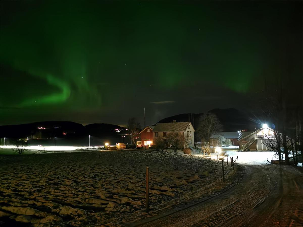 Unik Fjosleilighet Levanger Exteriér fotografie