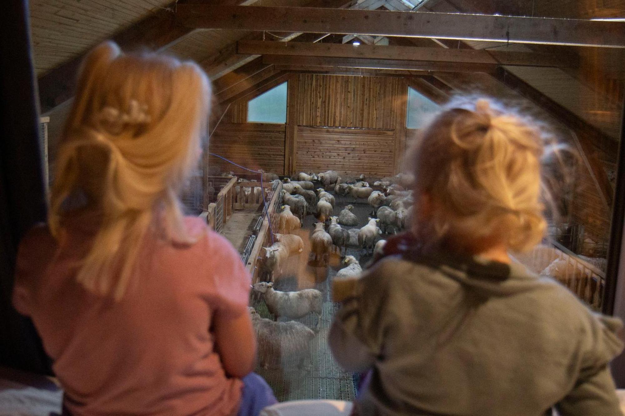 Unik Fjosleilighet Levanger Exteriér fotografie