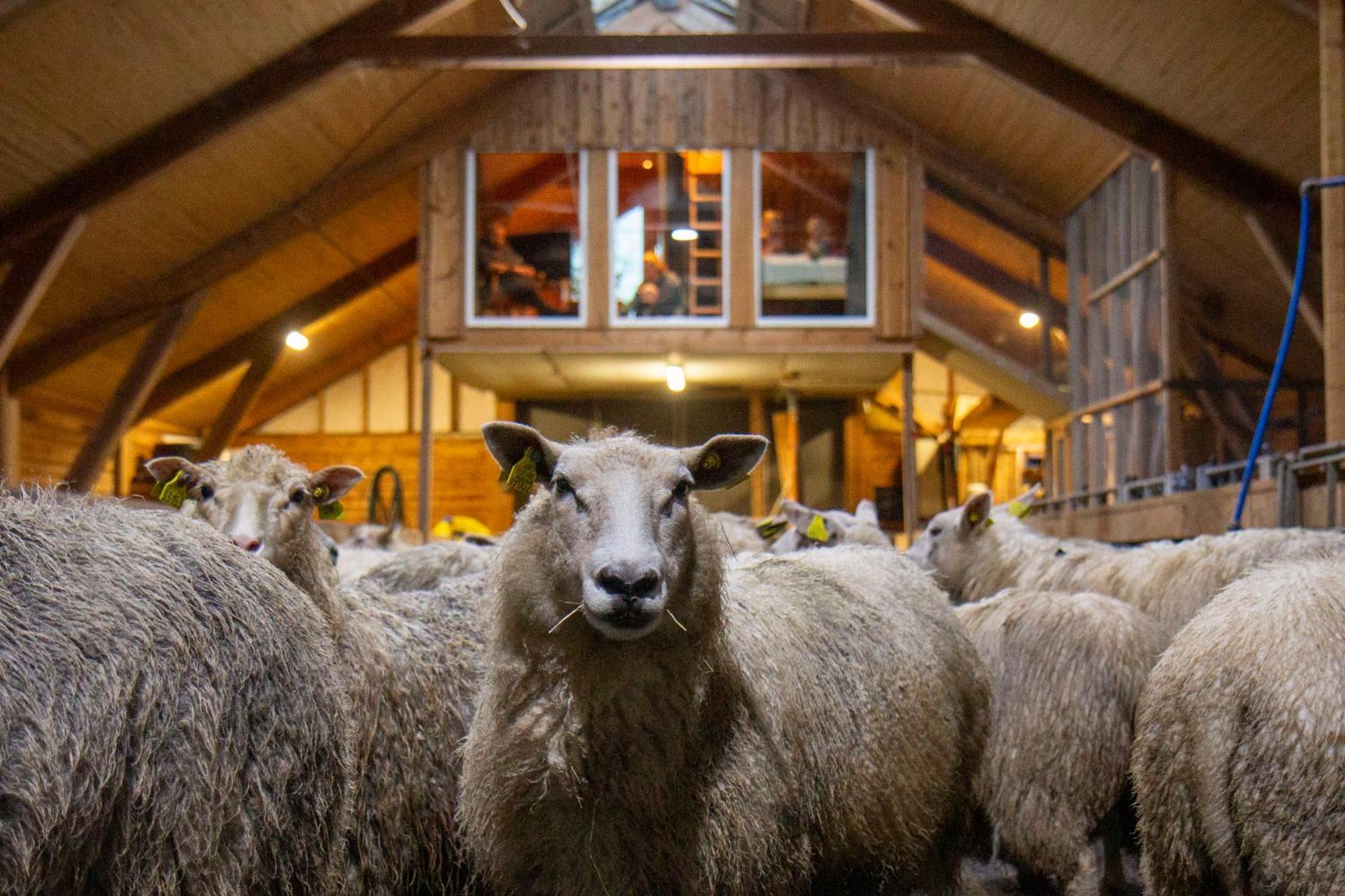 Unik Fjosleilighet Levanger Exteriér fotografie