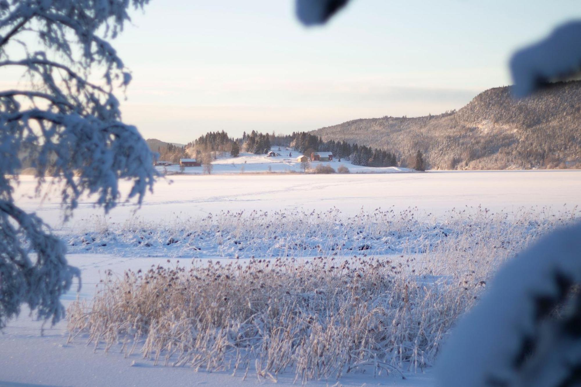 Unik Fjosleilighet Levanger Exteriér fotografie