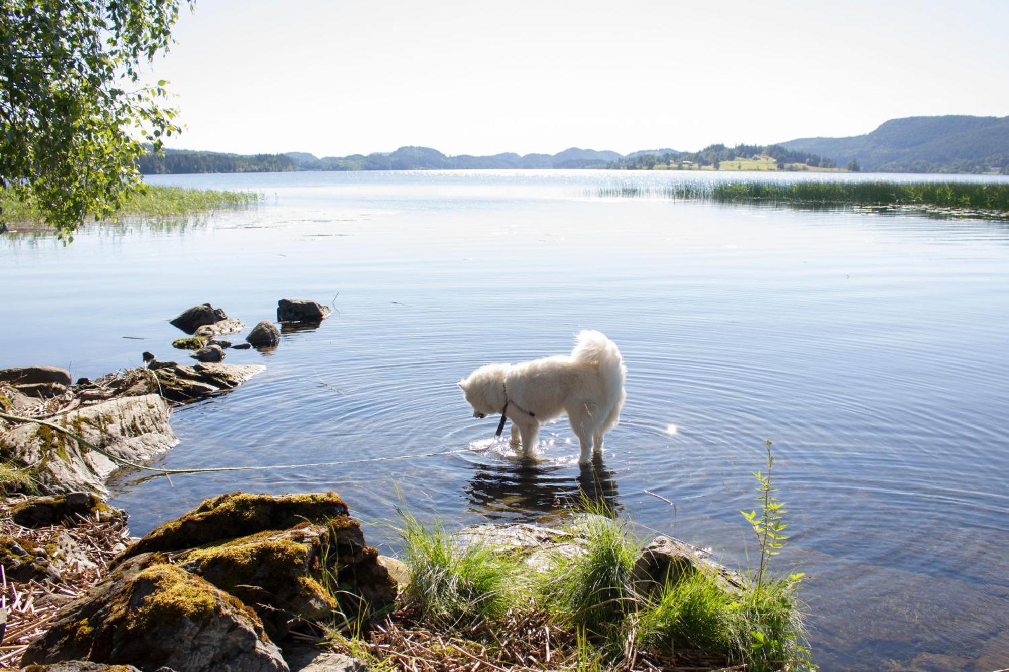 Unik Fjosleilighet Levanger Exteriér fotografie